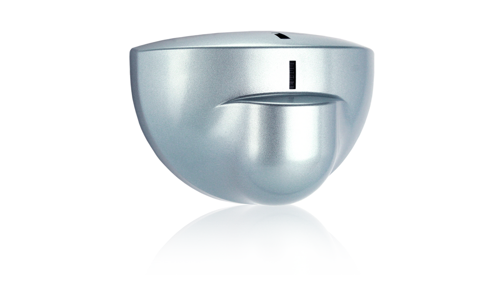 EAGLE FAMILY - Silver Cover WEB